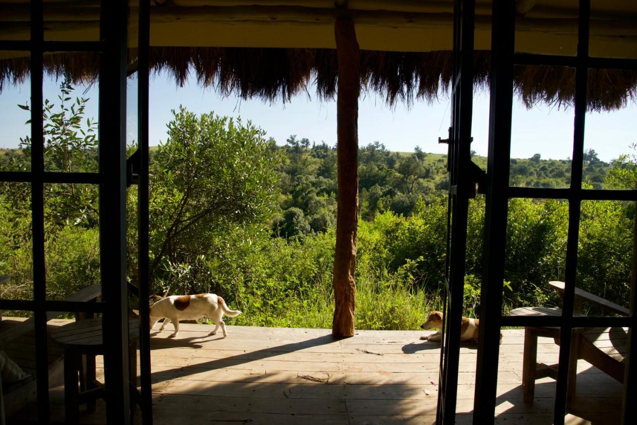 Olepangi Farm Villa Nanyuki Eksteriør bilde