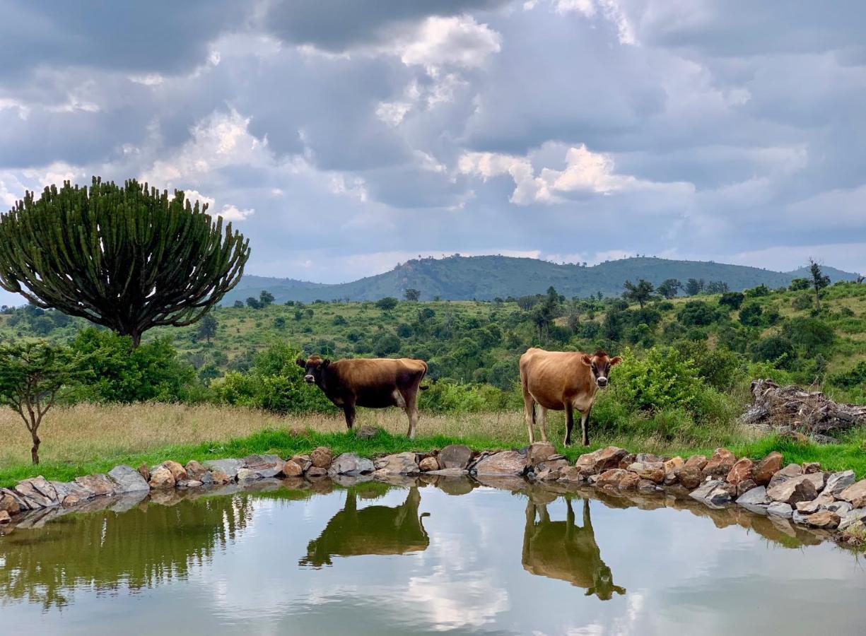 Olepangi Farm Villa Nanyuki Eksteriør bilde