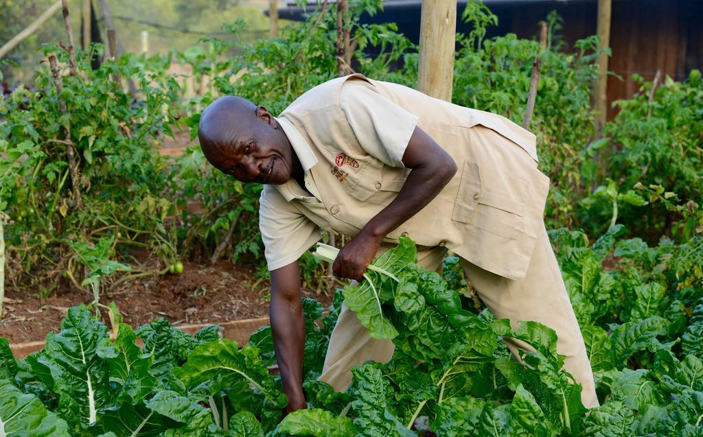 Olepangi Farm Villa Nanyuki Eksteriør bilde
