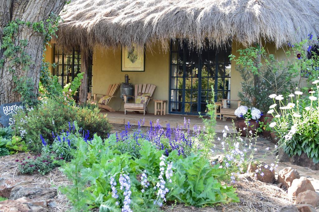 Olepangi Farm Villa Nanyuki Rom bilde