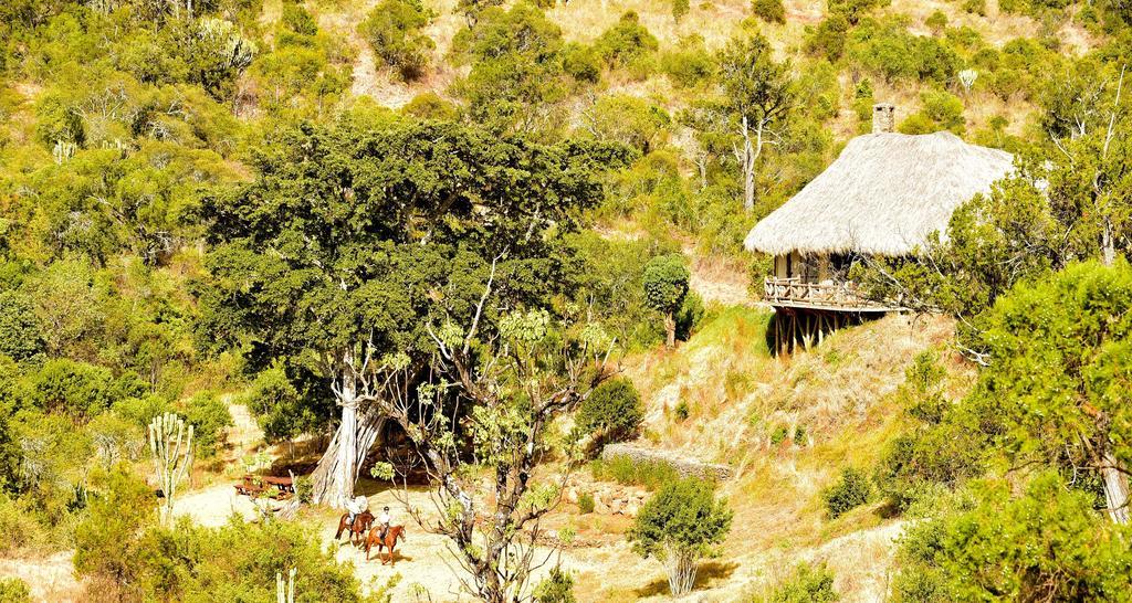 Olepangi Farm Villa Nanyuki Eksteriør bilde