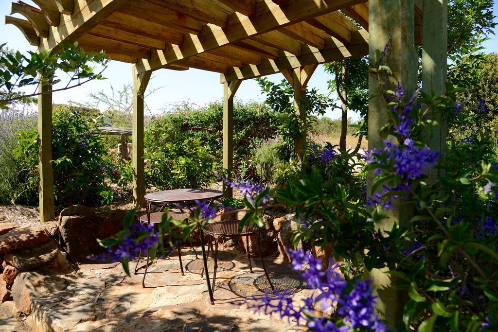 Olepangi Farm Villa Nanyuki Rom bilde
