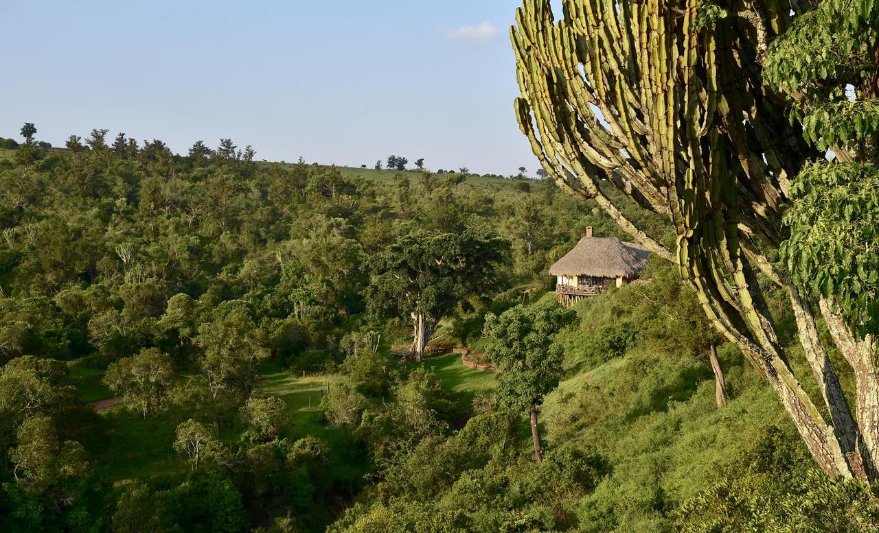 Olepangi Farm Villa Nanyuki Eksteriør bilde